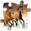 icon android Horses Jigsaw Puzzles