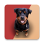 icon android Barking Dog Sounds