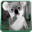 icon android Talking Koala Bear