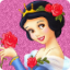 icon android Princess Memory Cards