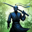 icon android Ninja Warrior