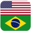 icon android English Brazilian Dictionary