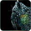 icon android Leopard Live Wallpapers