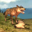 icon android Wolf Simulator 2