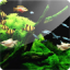 icon android 3D Aquarium