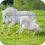 icon android Puzzle - Beautiful horses