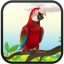 icon android Real Talking Parrot