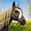 icon android Star Equestrian - Horse Ranch