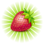 icon android Strawberry and Birds