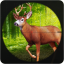 icon android Animals Hunting