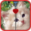 icon android Kitten Zipper Screen Lock