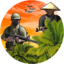 icon android Soldiers Of Vietnam