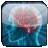 icon android Brain Age Test Free