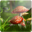 icon android 3D Mushroom