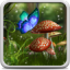 icon android Fairy Tale Live Wallpaper