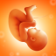 icon android Pregnancy and Due Date Tracker