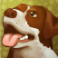 icon android Doggo Dungeon: A Dog's Tale