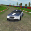 icon android Fast 3D Furious Rally Driver