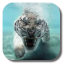 icon android Bengal Tiger