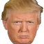 icon android Punch Trump