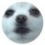 icon android Gabe the dog SoundBoard