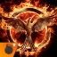 icon android The Hunger Games: Panem Rising