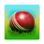 icon android Cricket 3D