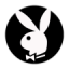 icon android Playboy