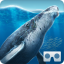 icon android SeaWorld VR2