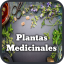 icon android Plantas Medicinales y Curativas