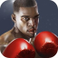 icon android Punch Boxing 3D