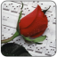 icon android Romantic pictures for Whatsapp