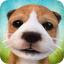 icon android Dog Simulator