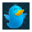 icon android TwitGrow