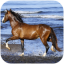 icon android Amazing horses