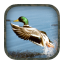 icon android Duck Hunting Calls