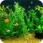 icon android Fish Tank HD