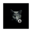 icon android Find a cat 3