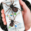 icon android Spider in phone funny joke