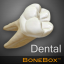 icon android Dental - Lite