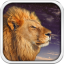 icon android Wild Lion Live Wallpaper HD