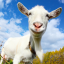 icon android Crazy Goat FREE