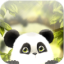 icon android Panda Chub Live Wallpaper Free