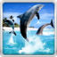 icon android Dolphin HD Live Wallpaper