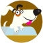 icon android PetFriendly