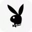 icon android Playboy NOW