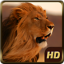 icon android Angry Lion Wild Simulator