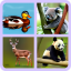 icon android Animal Quiz