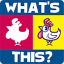 icon android A Chicken!