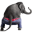 icon android Dancing Elephant